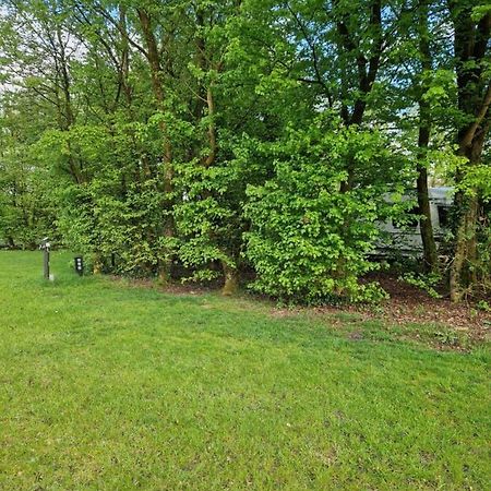 Camping Alkenhaer Appelscha Lege Kampeerplaats Exterior foto