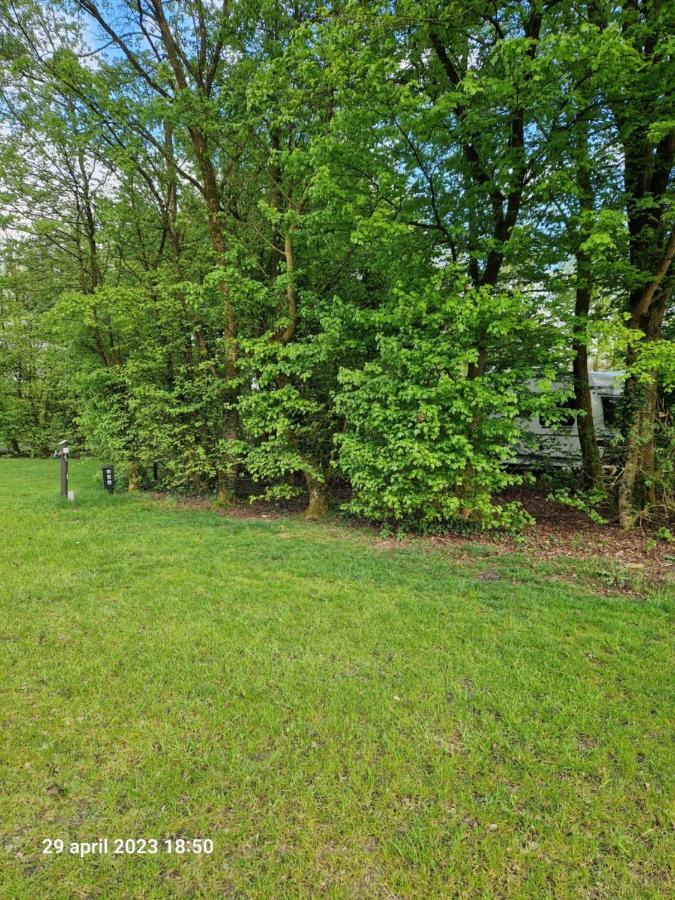Camping Alkenhaer Appelscha Lege Kampeerplaats Exterior foto